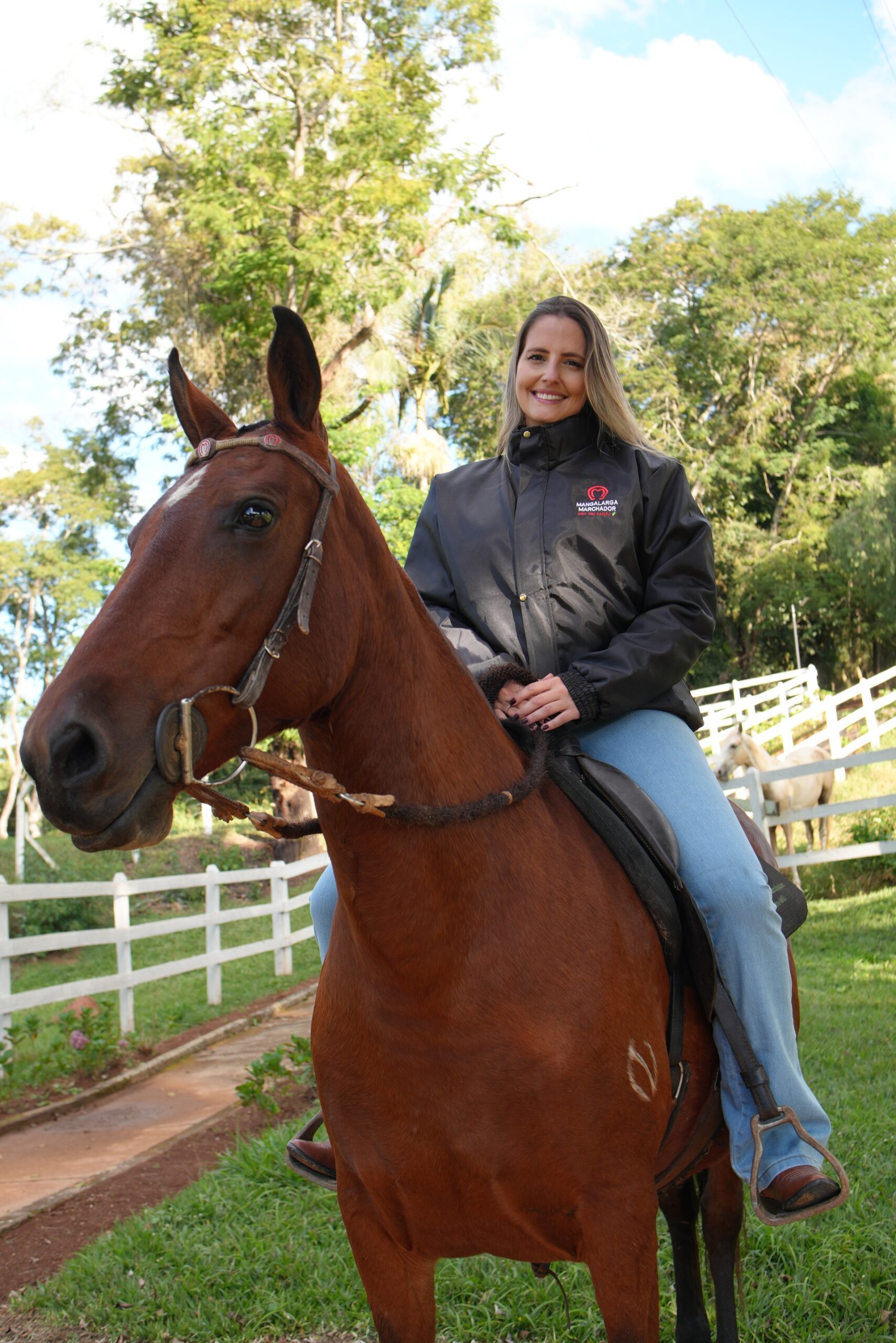 Haras com cavalo Mangalarga Marchador — segmento agro